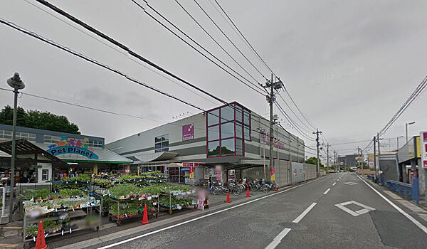 画像23:【ホームセンター】カンセキ駅東店まで841ｍ