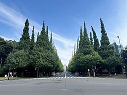 明治神宮御苑 徒歩8分 640m