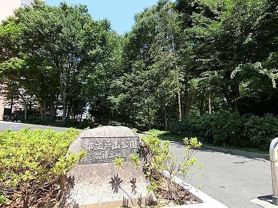 戸山公園 徒歩...
