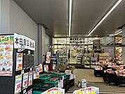 クリエイトエス・ディー杉並高井戸店 徒歩4分。 310m