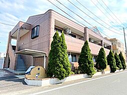 ミラドール