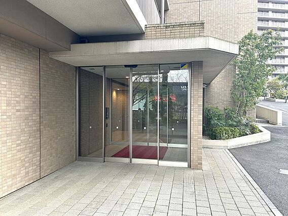 複数にエントラ...