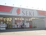 ドラッグストアセキ上小町店 1169m