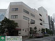 コモディイイダ仲町店 241m