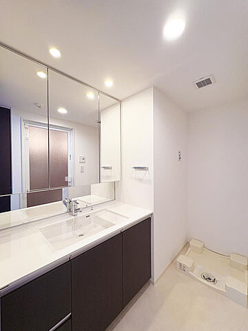 洗面 シティテラス小金井公園C棟 5階/-