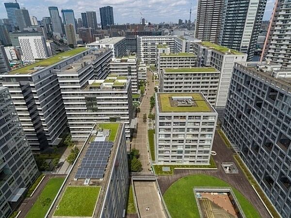 東京都江東区東雲１丁目(賃貸マンション1LDK・3階・60.88㎡)の写真 その15