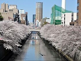 東京都目黒区青葉台１丁目18-7（賃貸マンション1K・3階・23.80㎡） その3