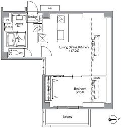 東京メトロ南北線 麻布十番駅 徒歩6分の賃貸マンション 11階1LDKの間取り