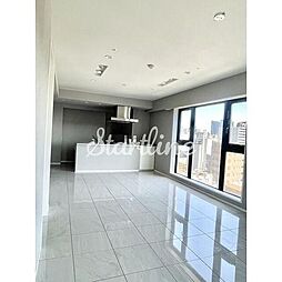 東京メトロ南北線 麻布十番駅 徒歩8分の賃貸マンション 11階1LDKのリビング/ダイニング