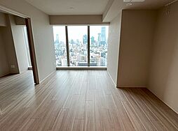 東京メトロ南北線 白金高輪駅 徒歩3分の賃貸マンション 30階3LDKのリビング/ダイニング