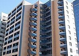 東京メトロ半蔵門線 錦糸町駅 徒歩9分の賃貸マンション