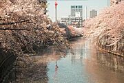 目黒川[400m]