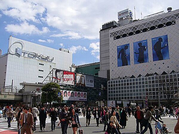 東京都渋谷区神宮前５丁目(賃貸マンション1DK・2階・37.75㎡)の写真 その11