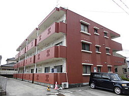 バス 中迫下車 徒歩5分の賃貸マンション