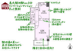 ベラジオ烏丸御池 1LDKの間取図画像