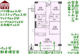 サンステージ衣笠 3LDKの間取図画像