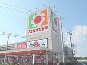イズミヤ　八幡店まで1000メートル