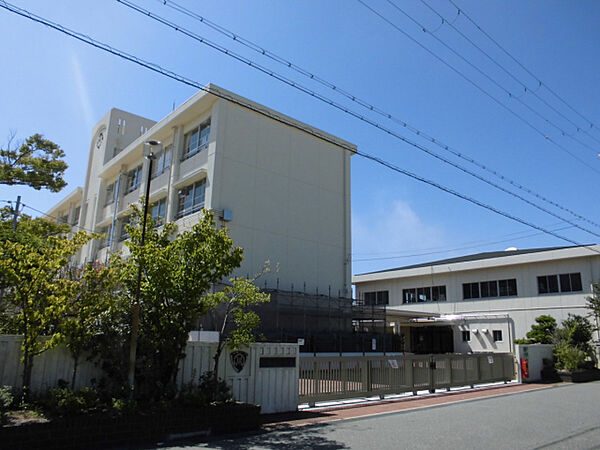 画像12:播磨南小学校