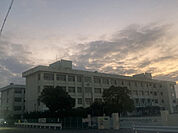 林小学校