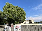 広野小学校