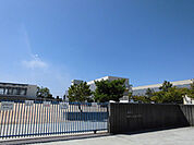 蓮池小学校