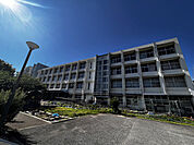 大観小学校