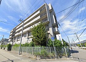 ウィズ・ユー西宮  ｜ 兵庫県西宮市津門綾羽町（賃貸マンション1LDK・5階・36.45㎡） その1