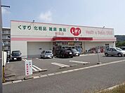 くすりのレデイ新浜店まで716ｍ