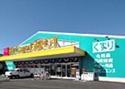 Fit　Care　DEPOT相模大野店 徒歩9分。ドラックストア 710m
