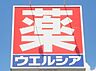 周辺：【ドラッグストア】ウエルシア　前橋天川大島店まで1649ｍ