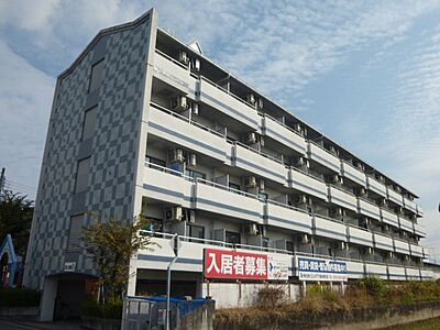 外観 外観