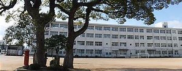 画像16:姫路市立白浜小学校