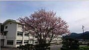 市川町立瀬加小学校