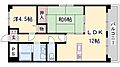 ファルネーゼ鵤5階4.9万円