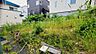その他：建物裏のお庭です。