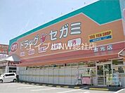 ドラッグセガミ金光店 379m