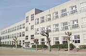 倉敷市立老松小学校 919m