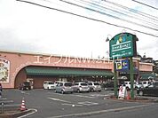 ニシナフードバスケット羽島店 1337m