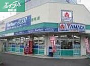 ヤマダ電機テックランド総社店 1000m