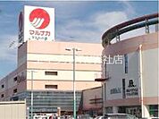 山陽マルナカマスカット店 506m