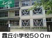 霞ヶ丘小学校 500m
