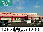 コスモス 1200m