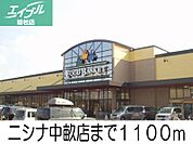 ニシナ中畝店 1100m