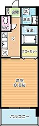 グレース上富野 10階/1005