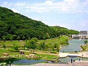 ☆福岡県営　中央公園（井堀5丁目）（240m）