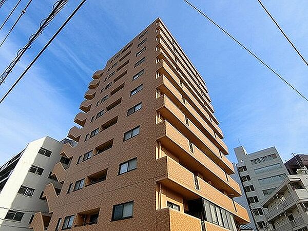 ダイアパレス中野町 ｜香川県高松市中野町(賃貸マンション3LDK・10階・70.34㎡)の写真 その1