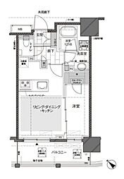 東急目黒線 武蔵小山駅 徒歩8分の賃貸マンション 8階1LDKの間取り
