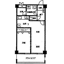 コリーヌ八雲　弐番館 1階1LDKの間取り