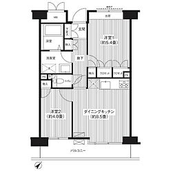 ステラメゾン武蔵小山 2DKの間取図画像