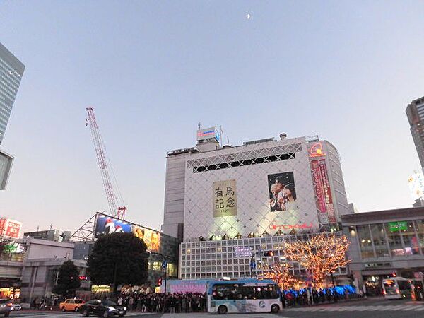 東京都港区南青山7丁目(賃貸マンション2LDK・6階・48.33㎡)の写真 その13